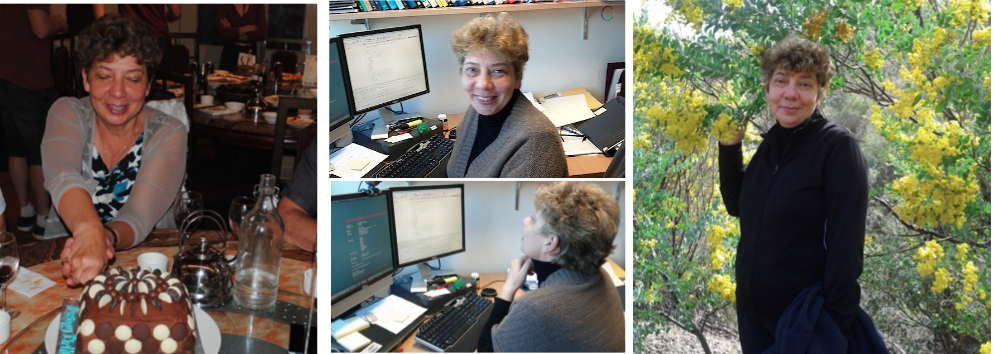 IEmel_CtoC2026 IEmel_CtoC2026